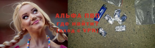 индика Хадыженск
