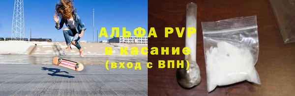 крисы Чердынь