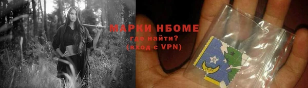 крисы Чердынь