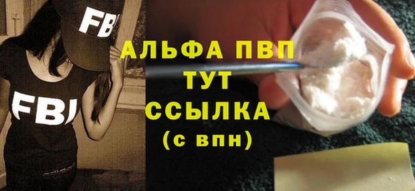 крисы Чердынь