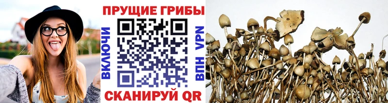 Псилоцибиновые грибы Magic Shrooms  Купить  Белозерск 